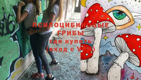 прущая мука Абаза