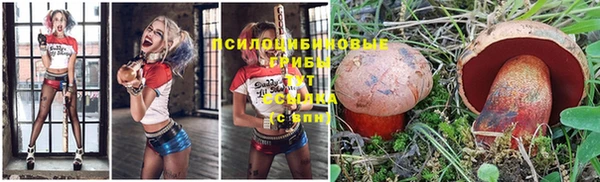 прущая мука Абаза